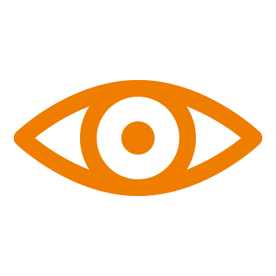 vision