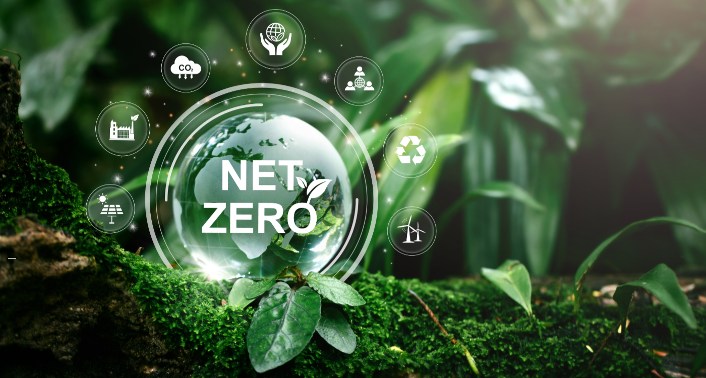 Invitalia per le imprese: Sportello Net Zero e Contratti di Sviluppo – 26 maggio